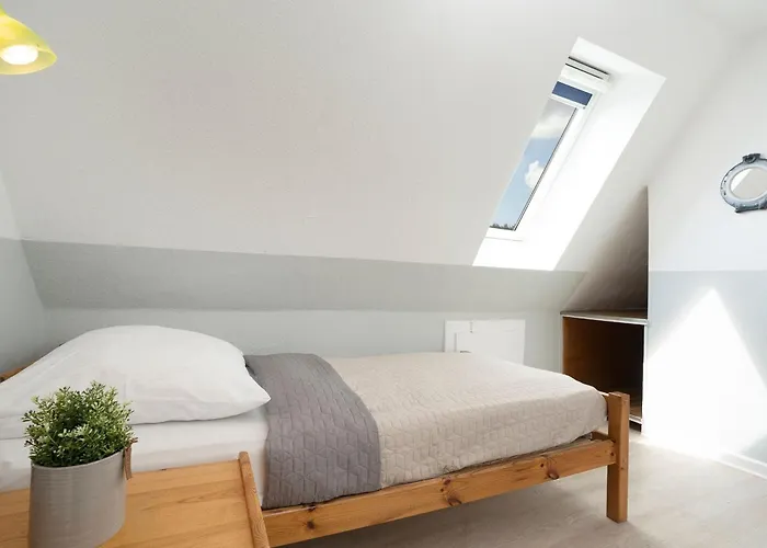 Moewenschrei * Dahme